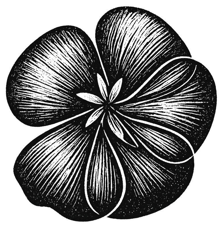 Vintage Flower Illustration